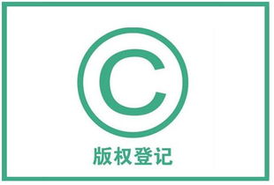 什么可以作为软件著作权侵权的证据