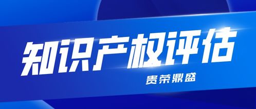四川广元市贵荣鼎盛资产评估知识产权出资实缴无形资产专业机构
