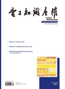 电子知识产权 数字经济时代的权利与保护